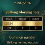Shillong Morning Teer Common Number – Informational Guide